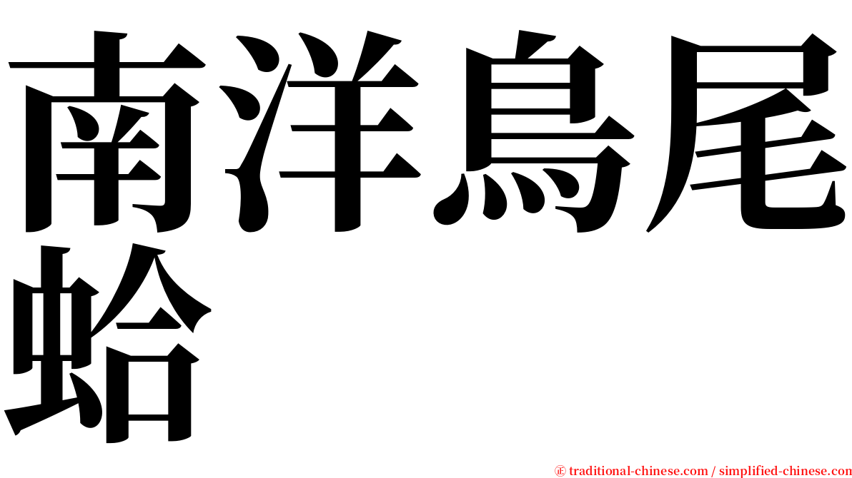 南洋鳥尾蛤 serif font