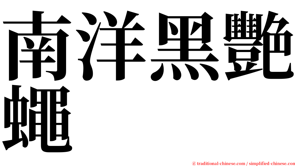 南洋黑艷蠅 serif font