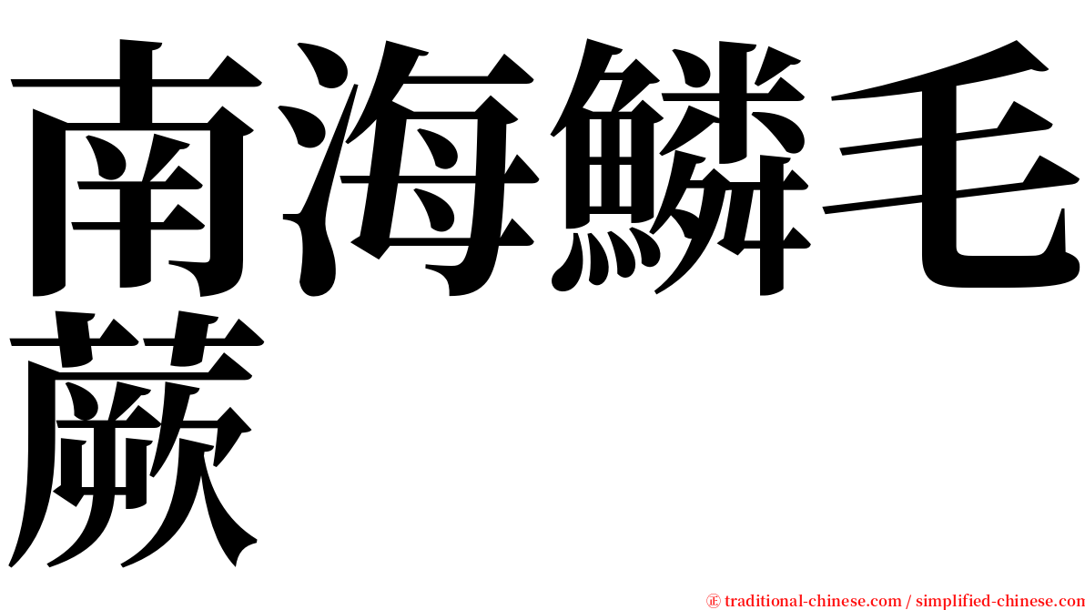 南海鱗毛蕨 serif font