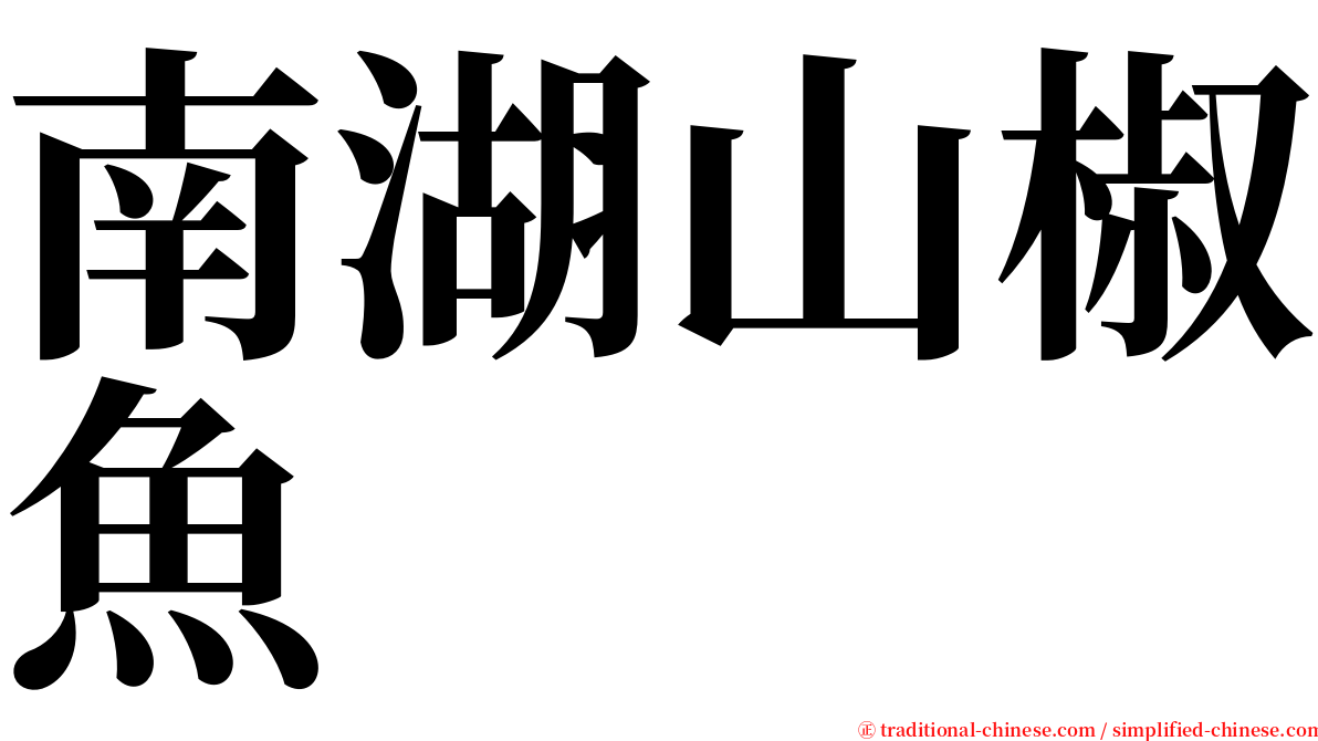 南湖山椒魚 serif font