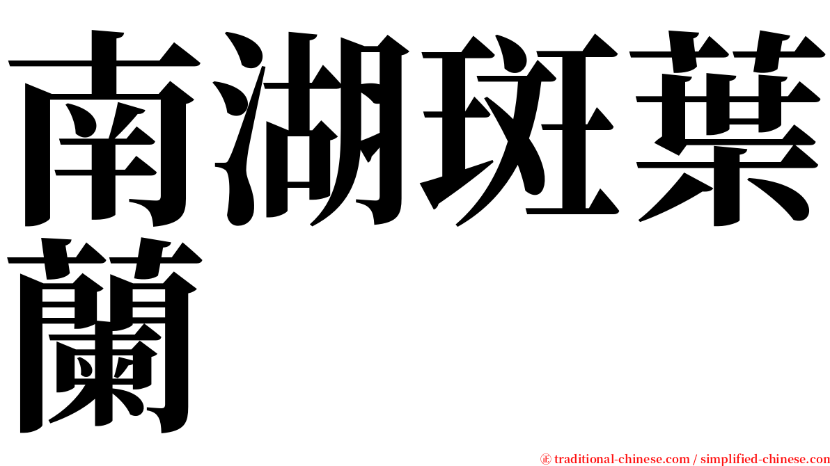 南湖斑葉蘭 serif font