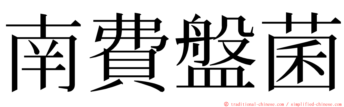 南費盤菌 ming font