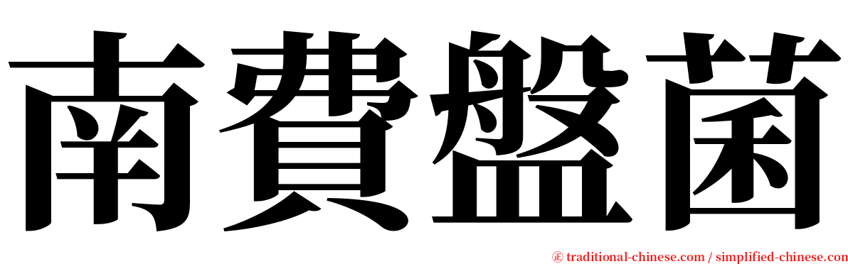 南費盤菌 serif font