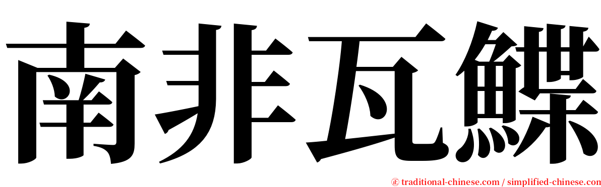 南非瓦鰈 serif font