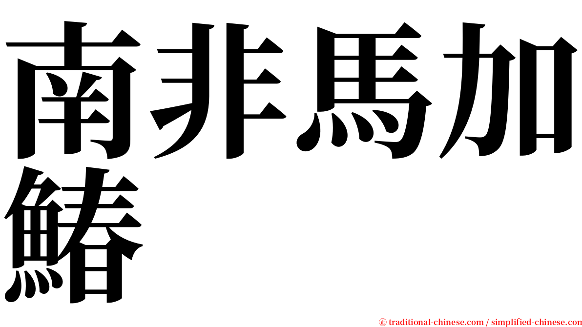 南非馬加鰆 serif font