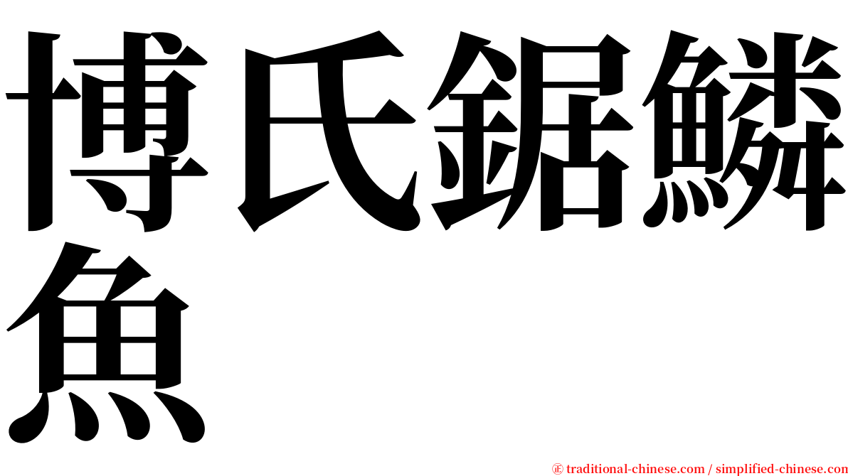 博氏鋸鱗魚 serif font