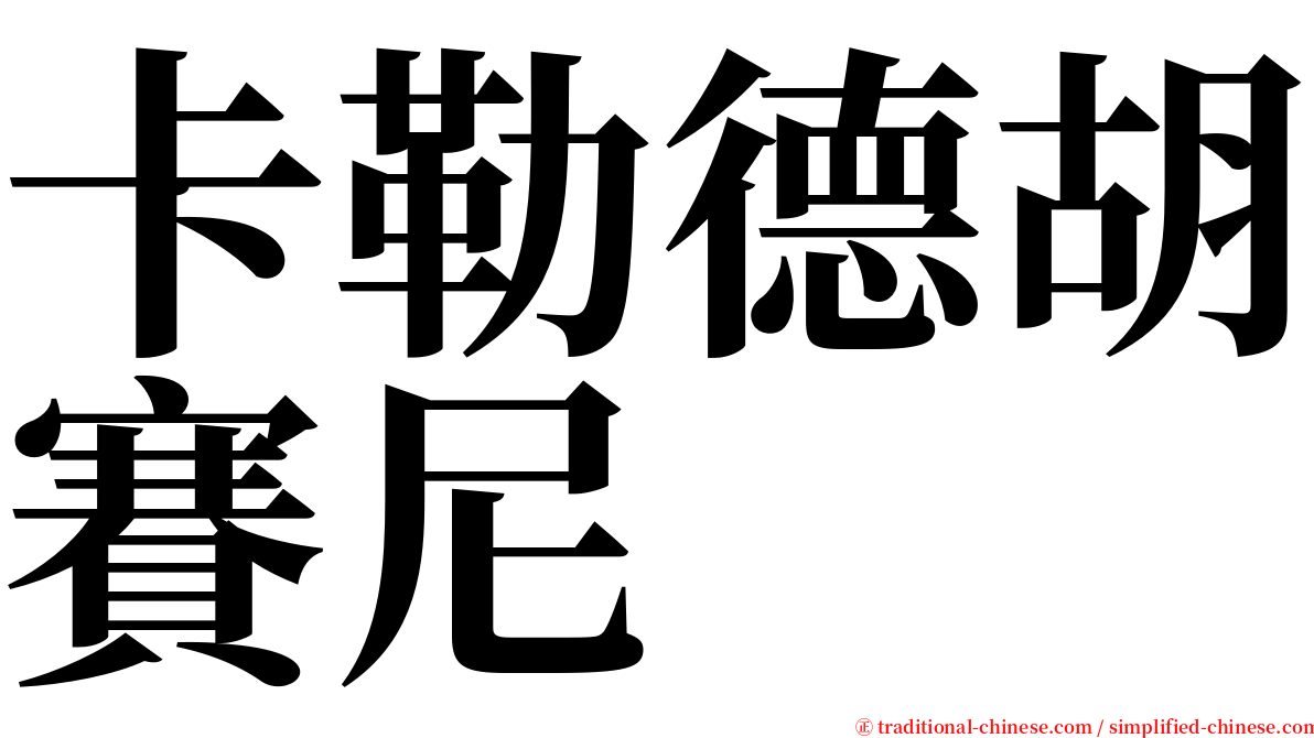 卡勒德胡賽尼 serif font