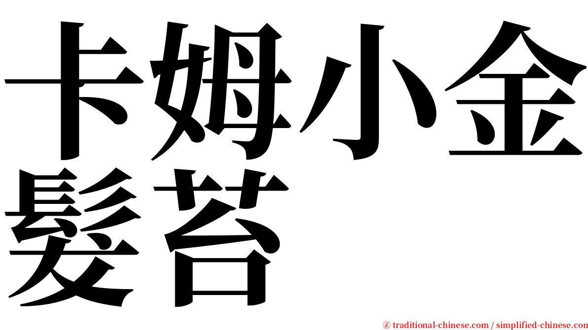 卡姆小金髮苔 serif font