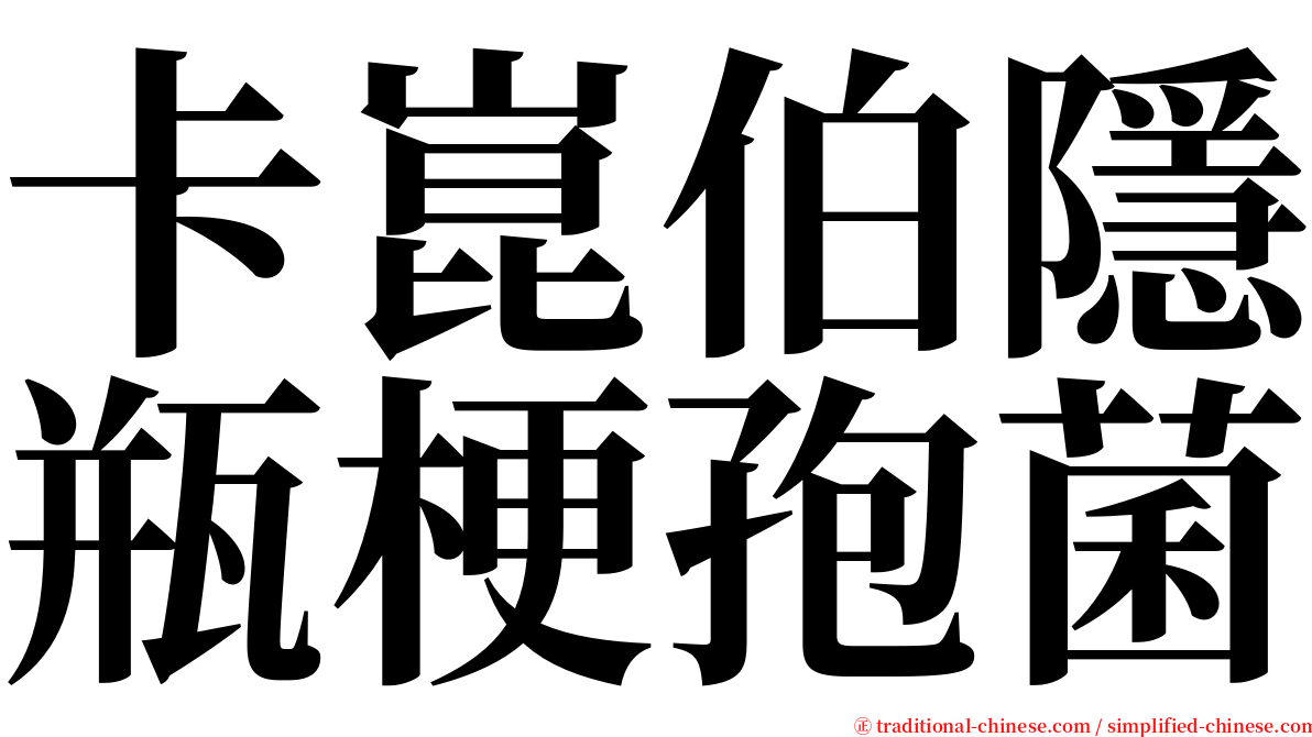 卡崑伯隱瓶梗孢菌 serif font