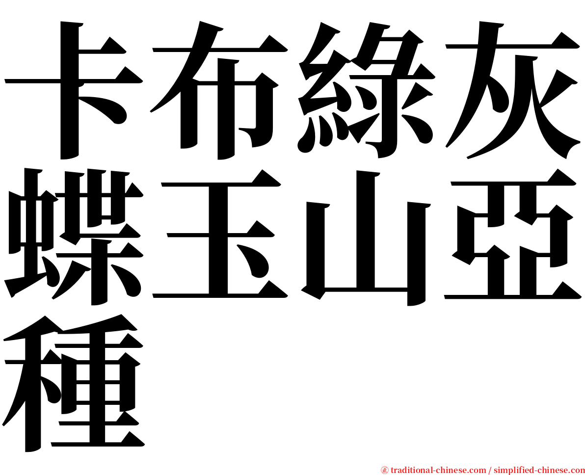 卡布綠灰蝶玉山亞種 serif font