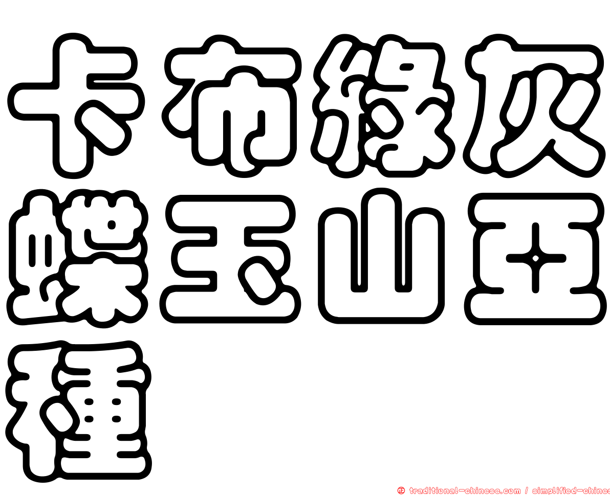 卡布綠灰蝶玉山亞種