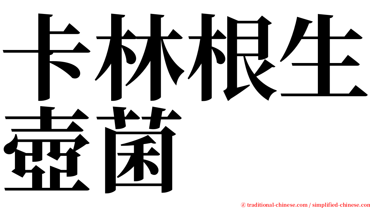 卡林根生壺菌 serif font