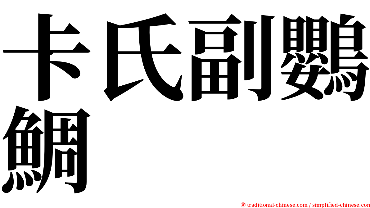 卡氏副鸚鯛 serif font