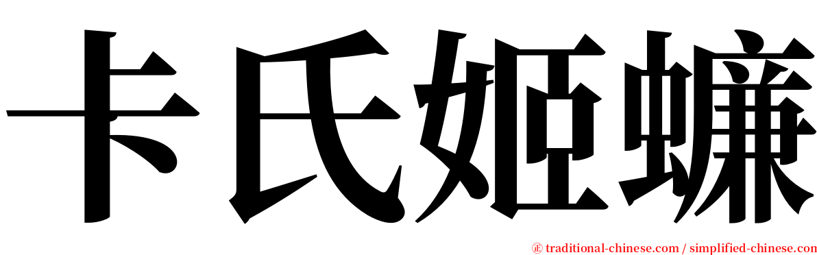 卡氏姬蠊 serif font