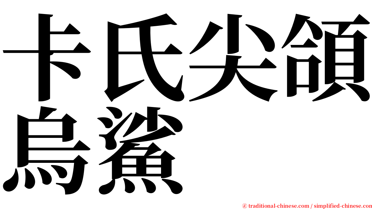 卡氏尖頜烏鯊 serif font