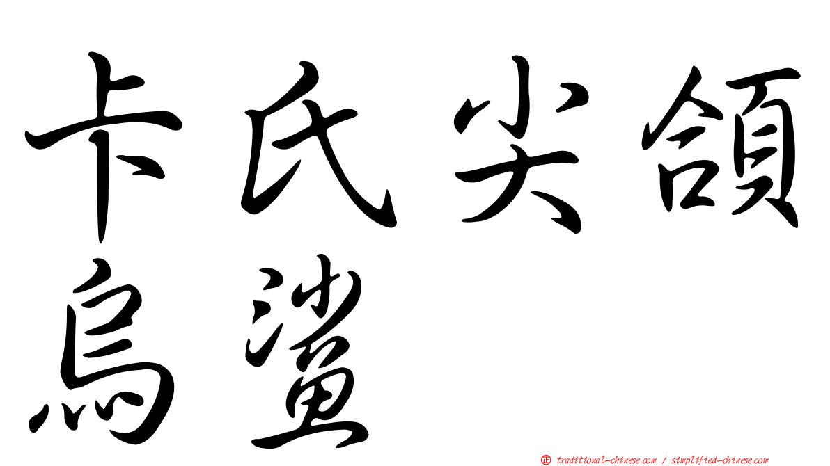 卡氏尖頜烏鯊