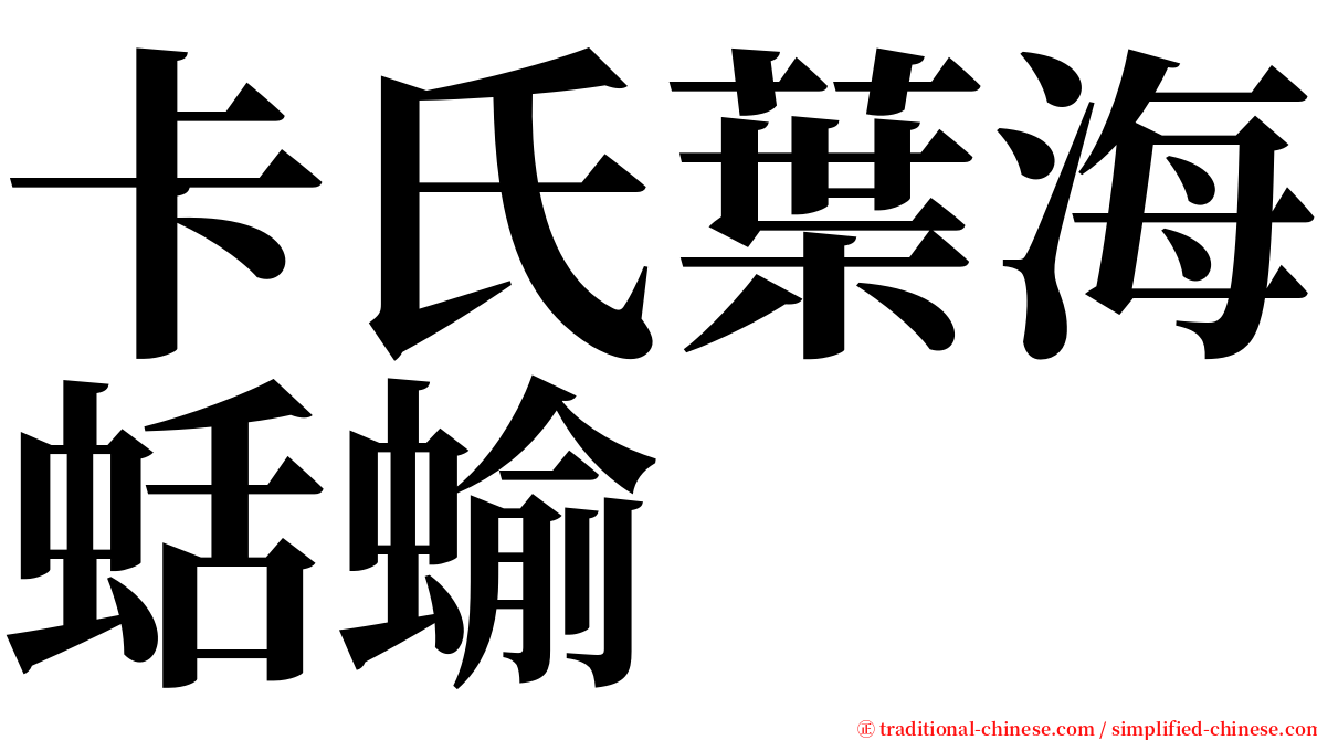 卡氏葉海蛞蝓 serif font