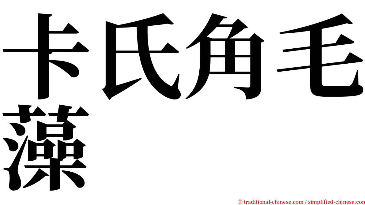 卡氏角毛藻 serif font