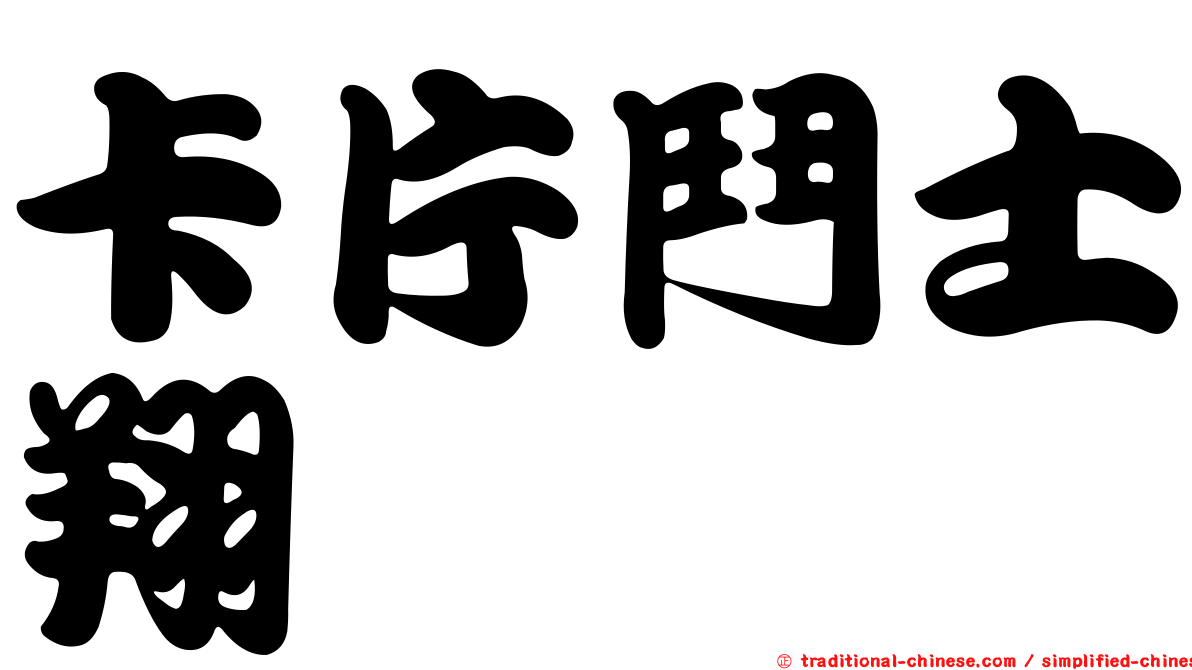 卡片鬥士翔