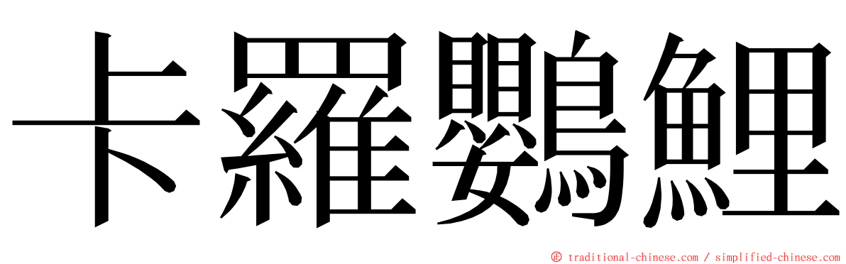 卡羅鸚鯉 ming font