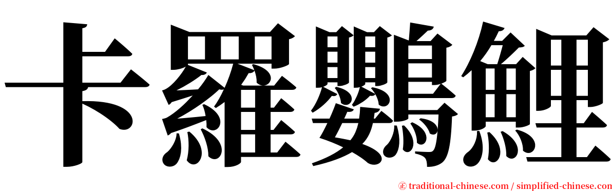 卡羅鸚鯉 serif font