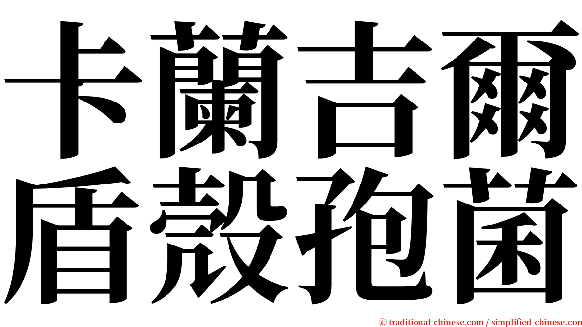 卡蘭吉爾盾殼孢菌 serif font