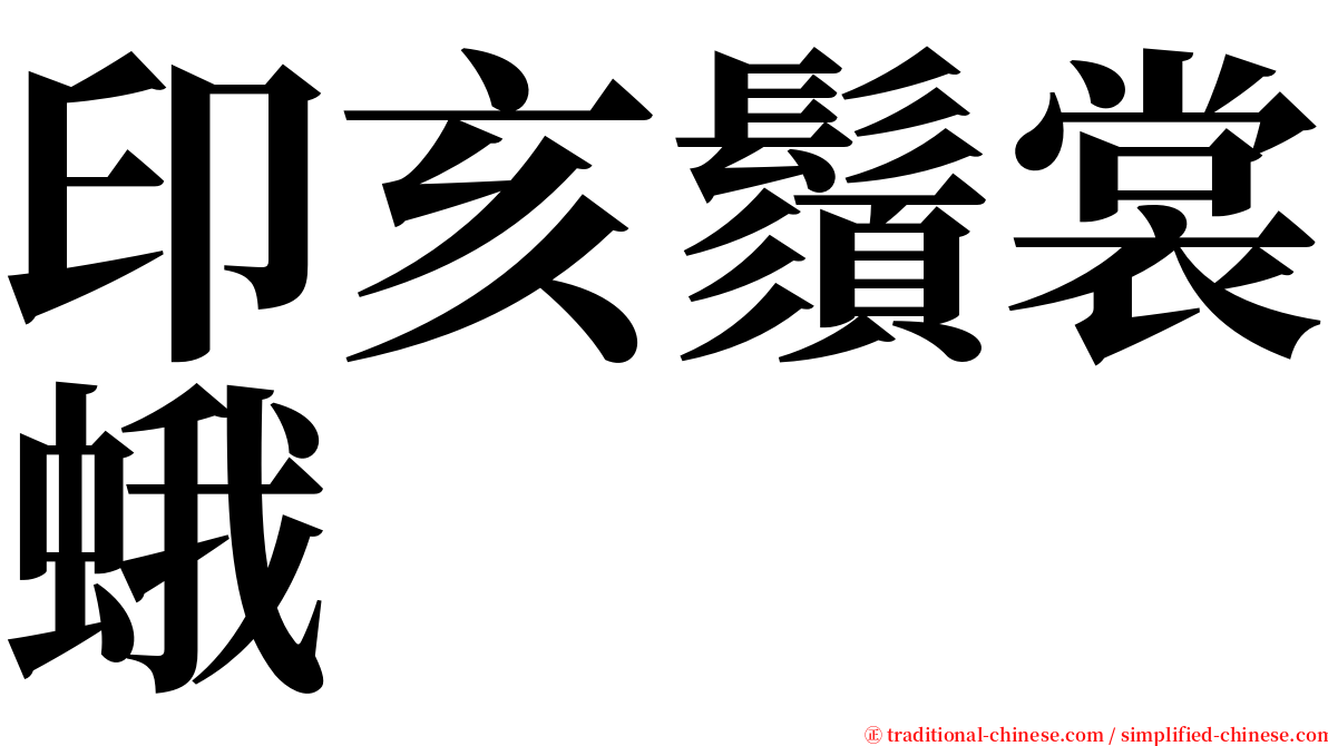 印亥鬚裳蛾 serif font