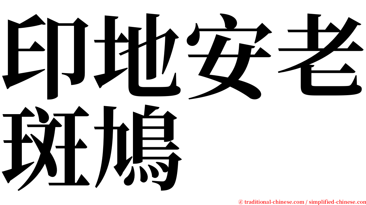 印地安老斑鳩 serif font