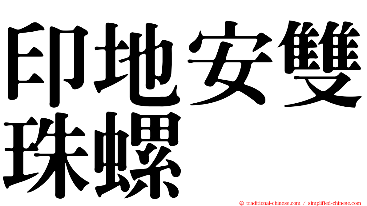 印地安雙珠螺