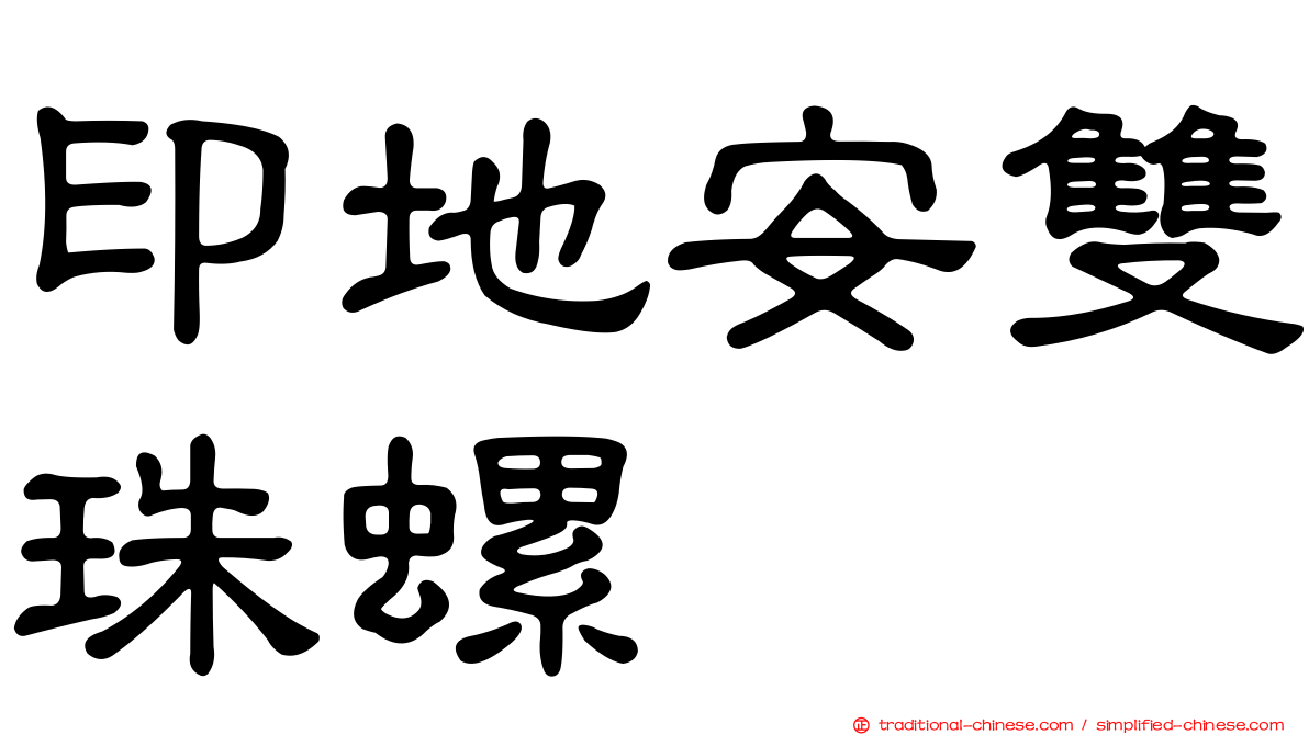 印地安雙珠螺