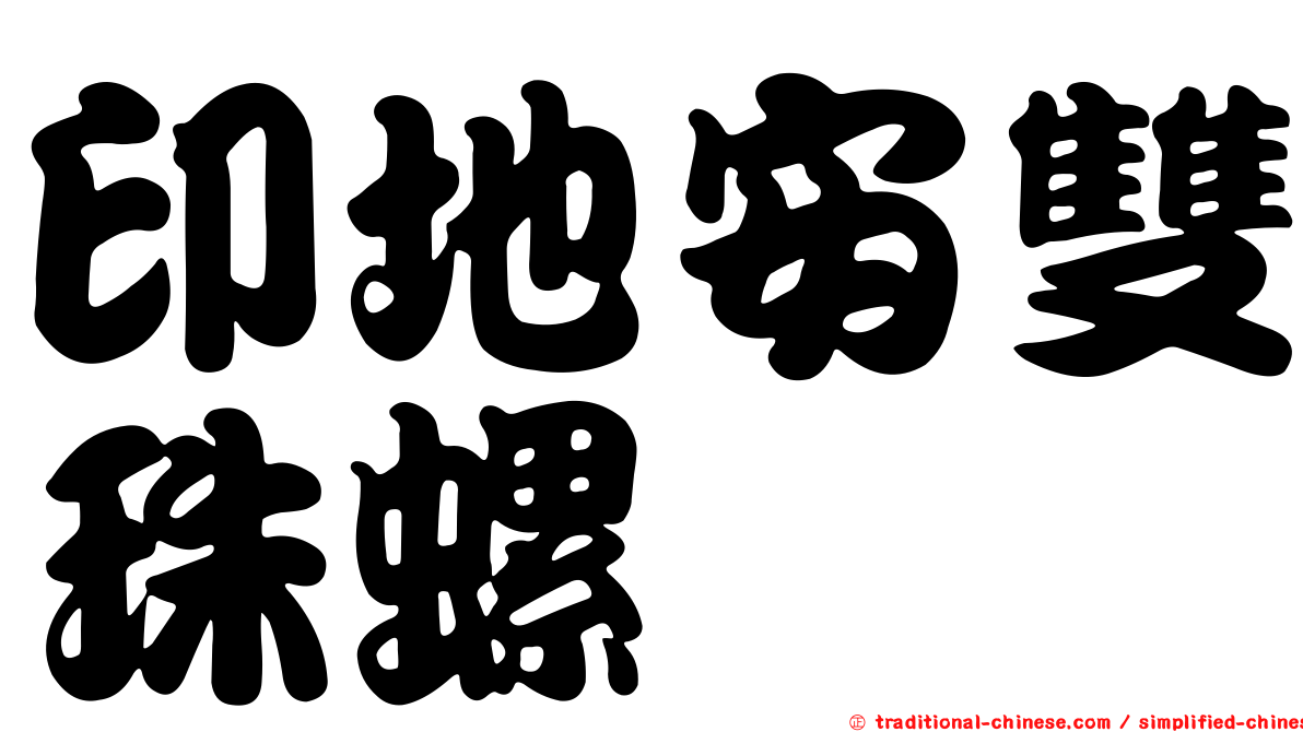印地安雙珠螺