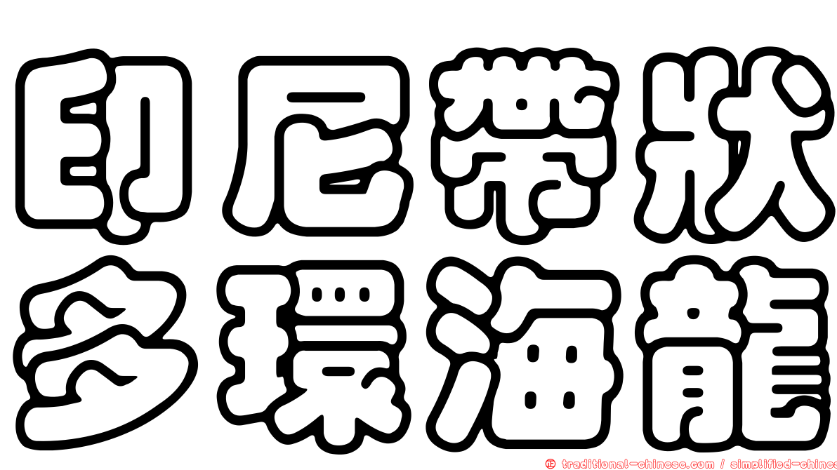 印尼帶狀多環海龍