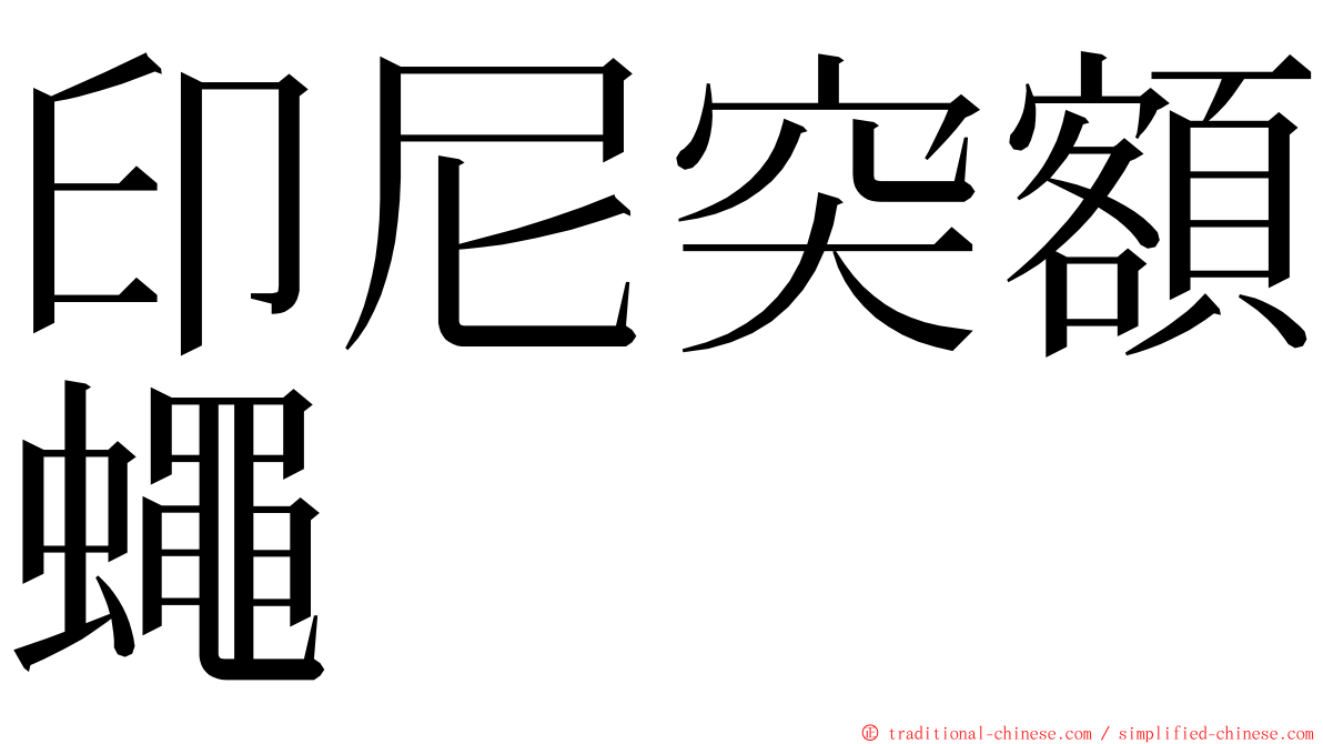 印尼突額蠅 ming font