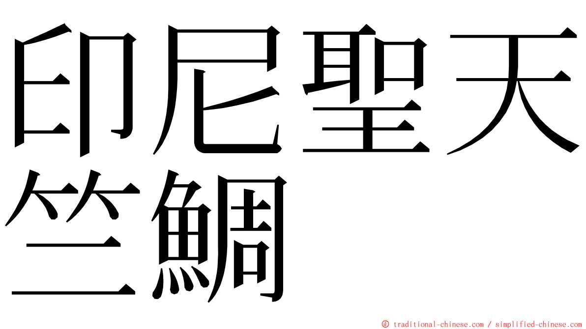 印尼聖天竺鯛 ming font