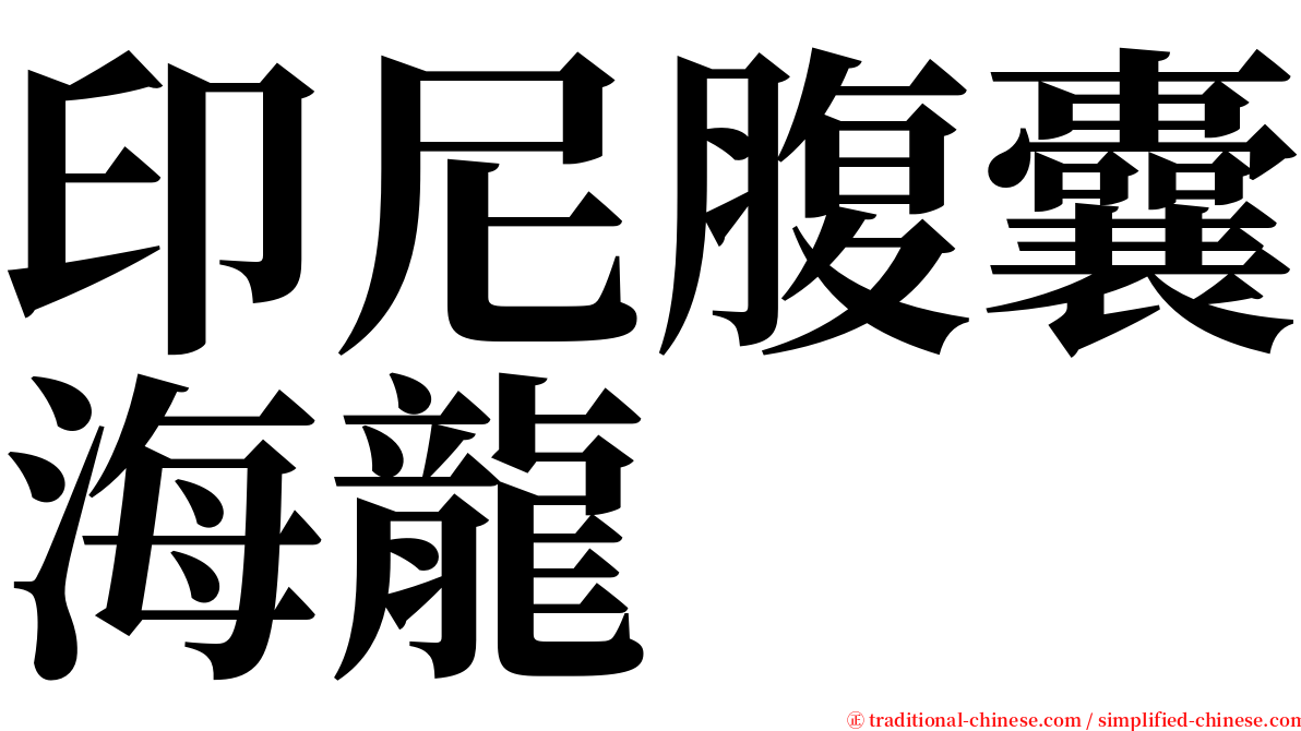 印尼腹囊海龍 serif font