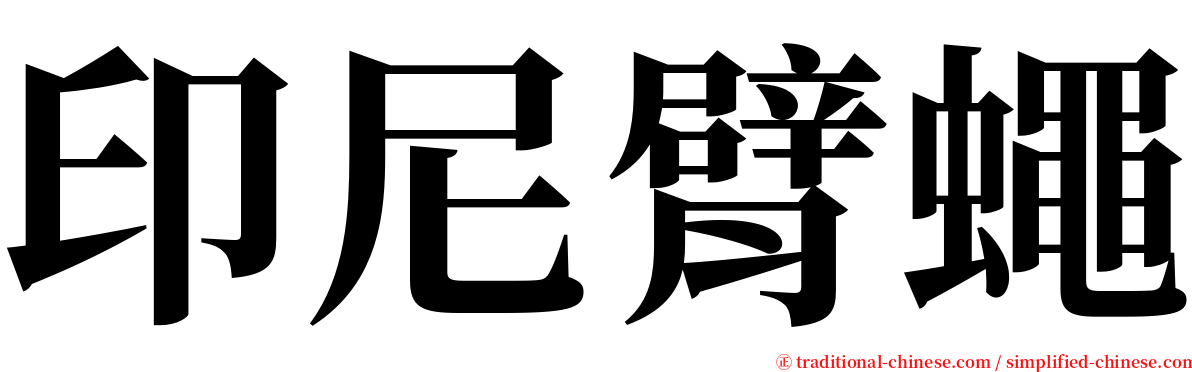 印尼臂蠅 serif font