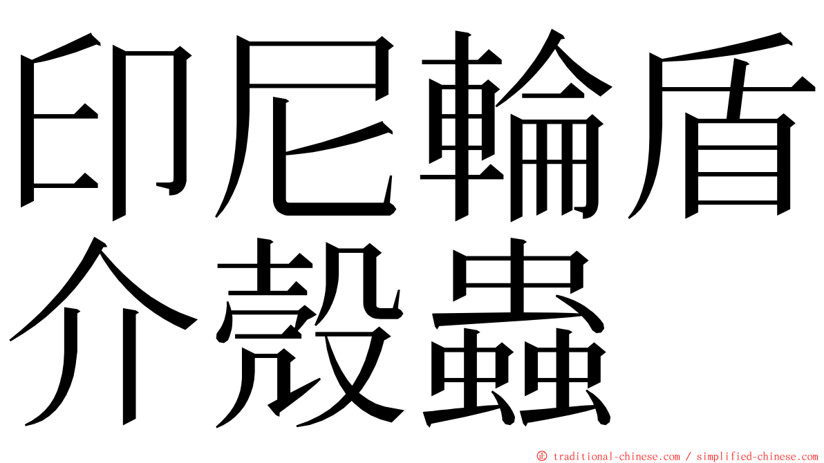 印尼輪盾介殼蟲 ming font