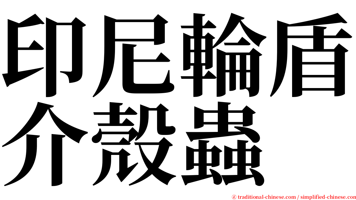 印尼輪盾介殼蟲 serif font