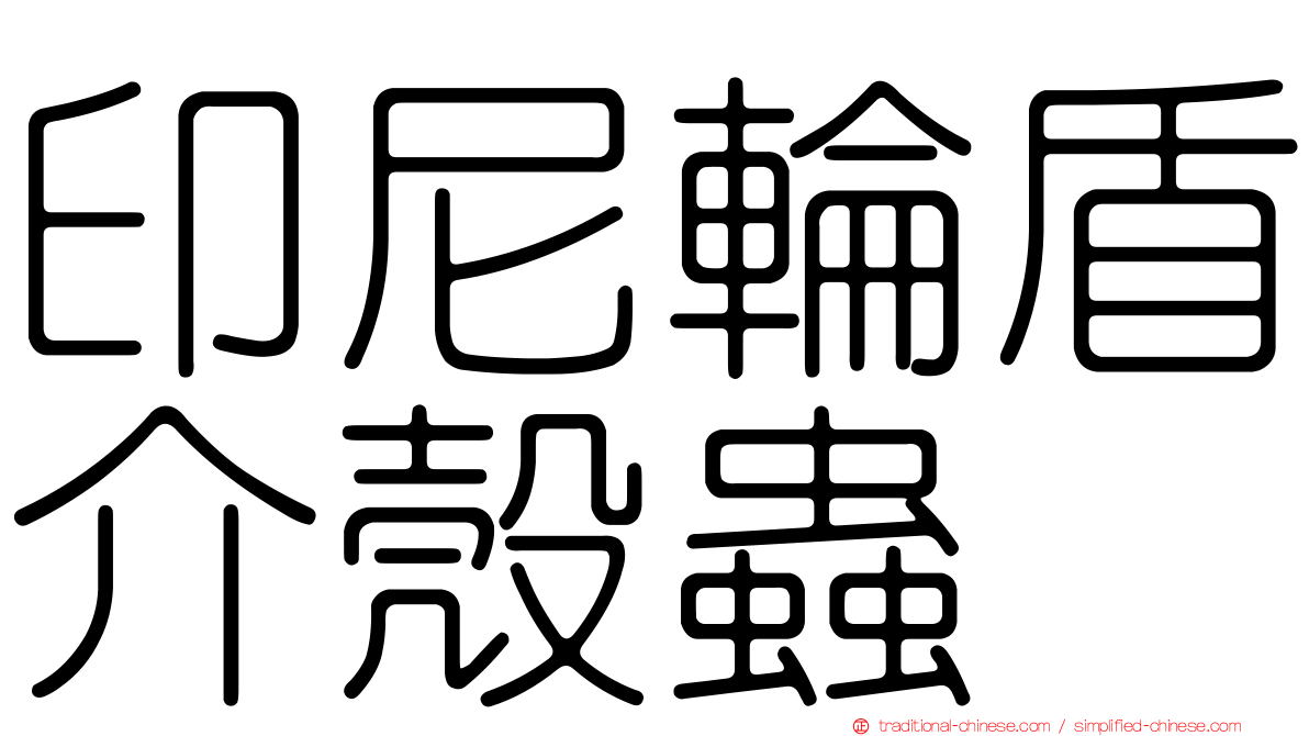 印尼輪盾介殼蟲