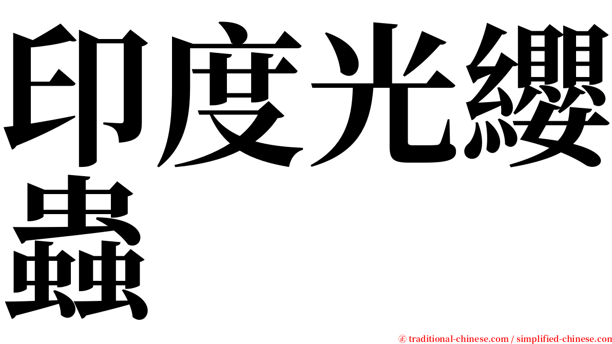 印度光纓蟲 serif font