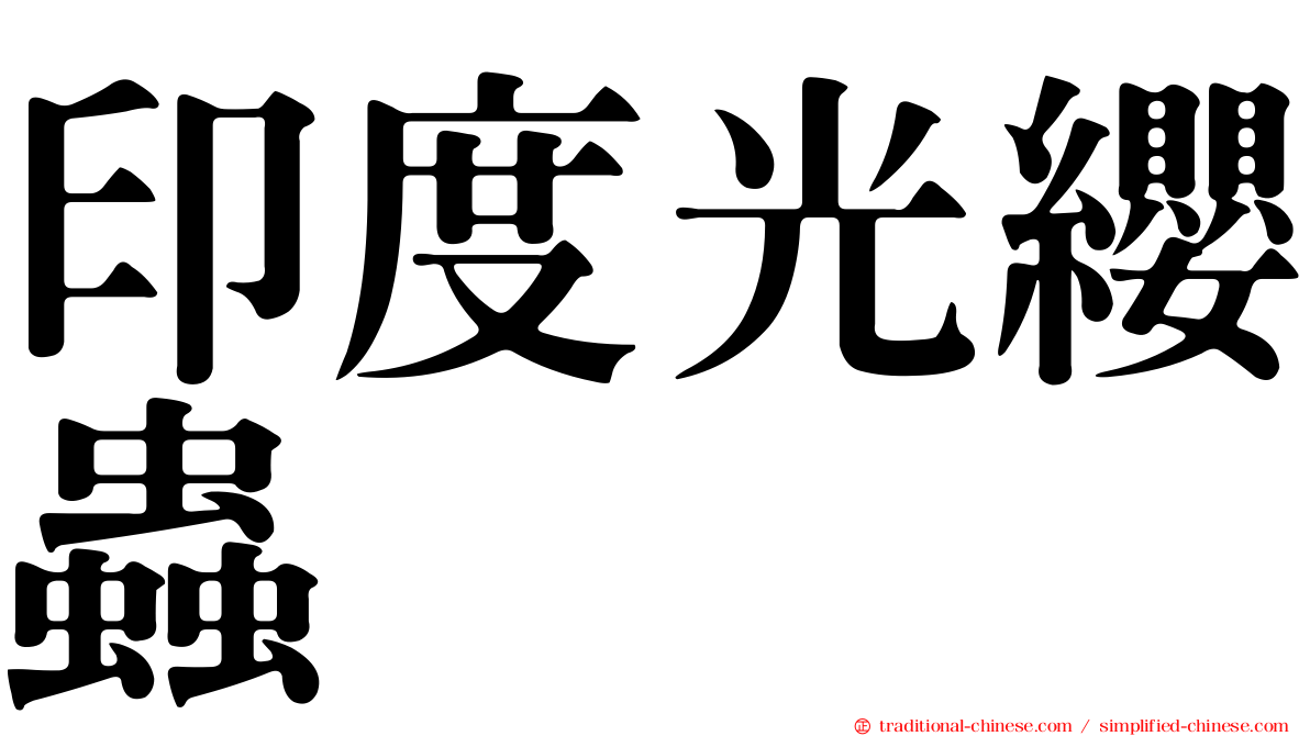 印度光纓蟲