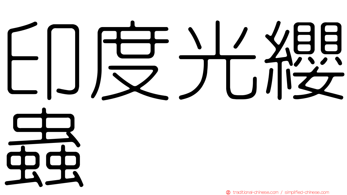 印度光纓蟲