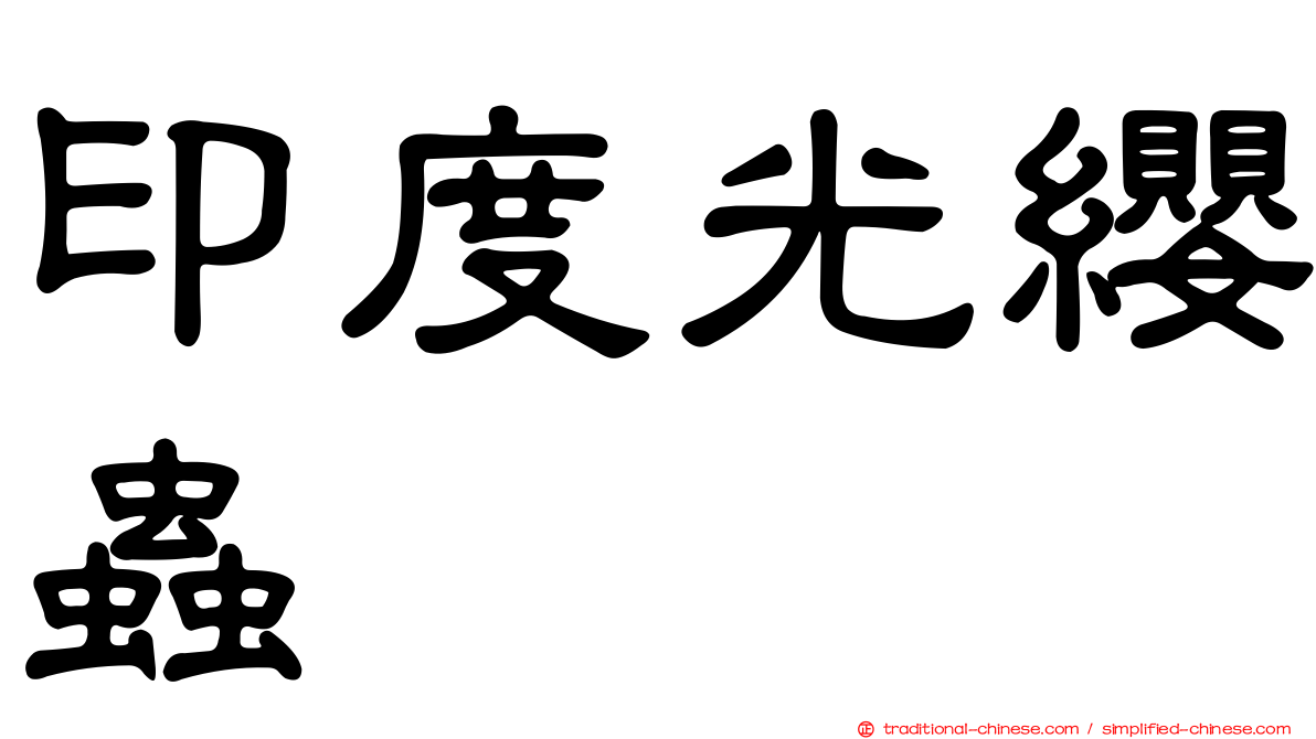 印度光纓蟲