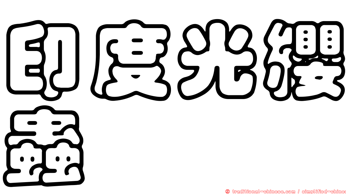 印度光纓蟲