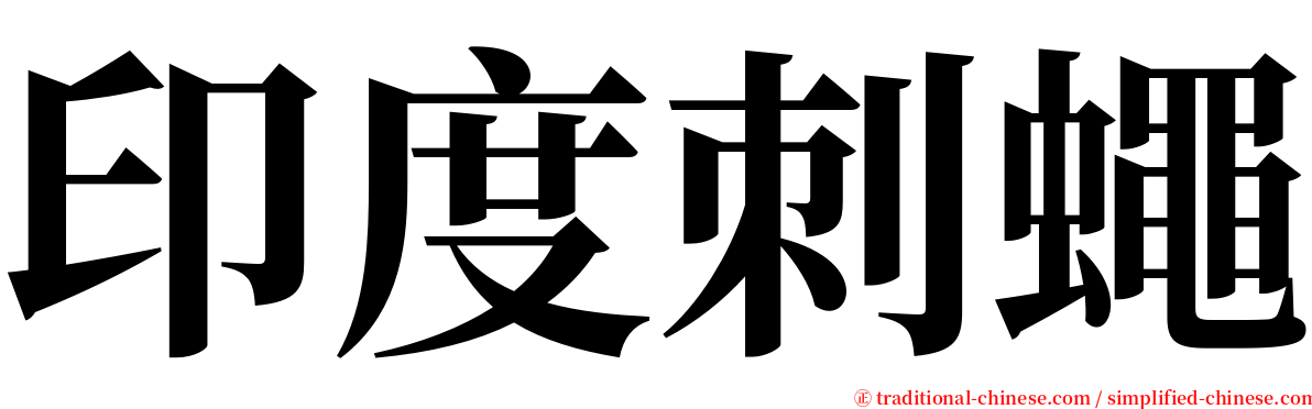 印度刺蠅 serif font