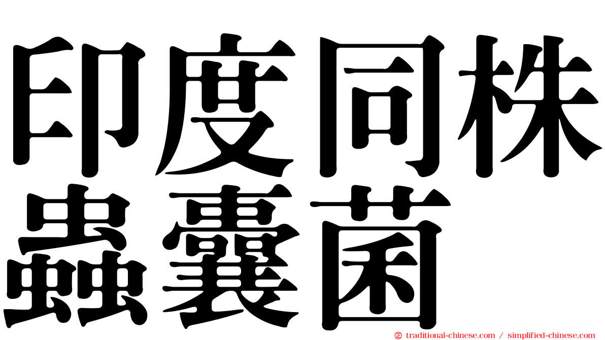 印度同株蟲囊菌