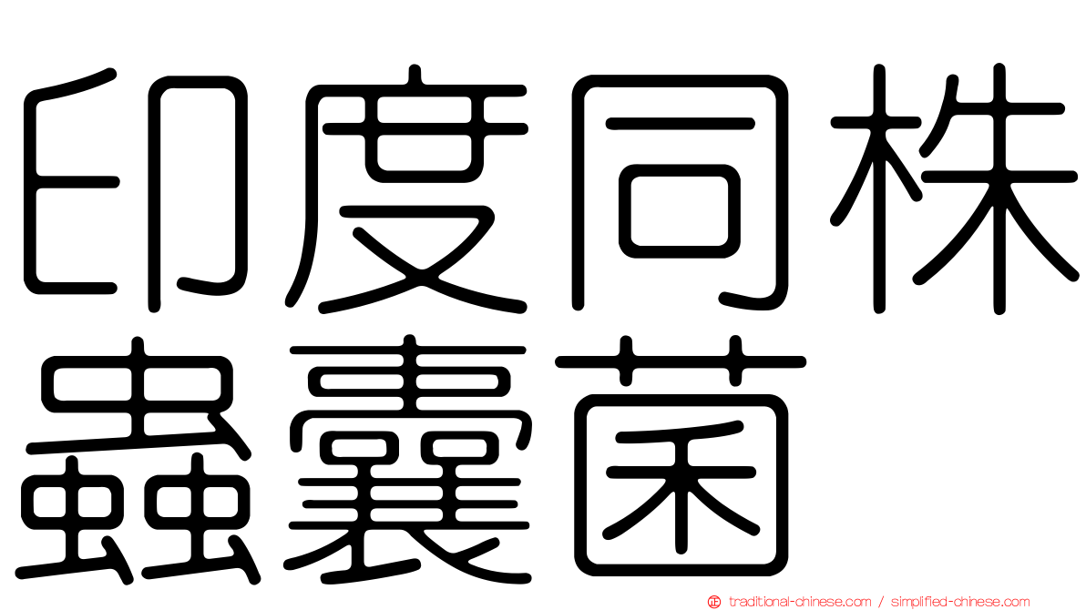 印度同株蟲囊菌