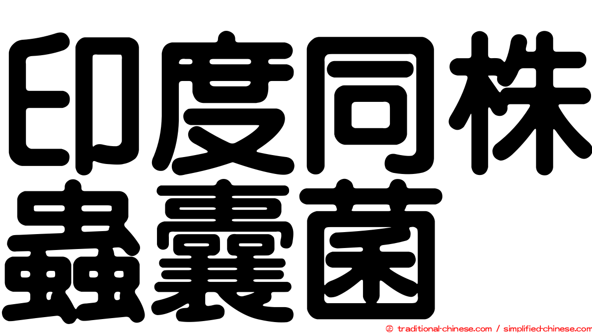 印度同株蟲囊菌