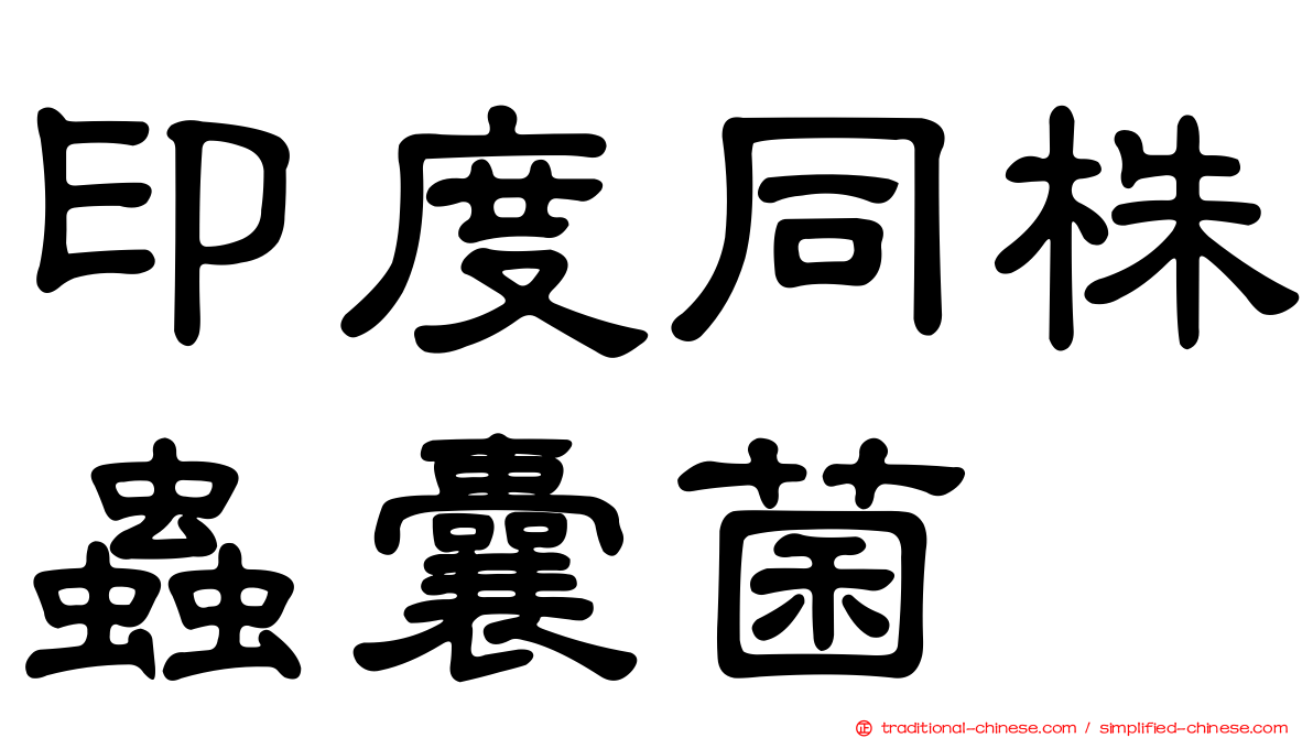 印度同株蟲囊菌