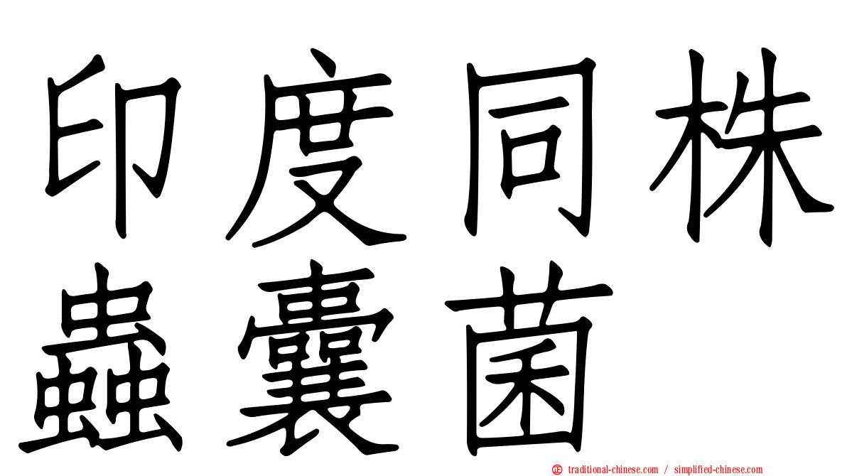 印度同株蟲囊菌